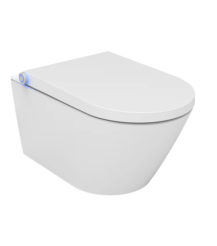 WC Suspendus